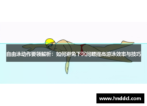 自由泳动作要领解析:如何避免下沉问题提高游泳效率与技巧